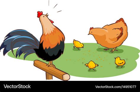 Rooster hen and chicks family on backyard Vector Image