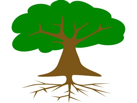 Andrew Fountain - A Letter in the Shape of a Tree: Colossians | Newlife Church Toronto