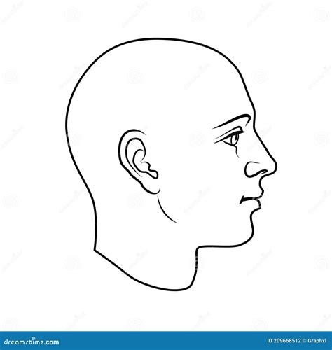 Human Head Side View Stock Illustrations – 6,729 Human Head Side View Stock Illustrations ...