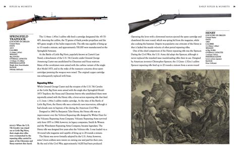 Rifles & Muskets: Collector's Guides - Amber Books