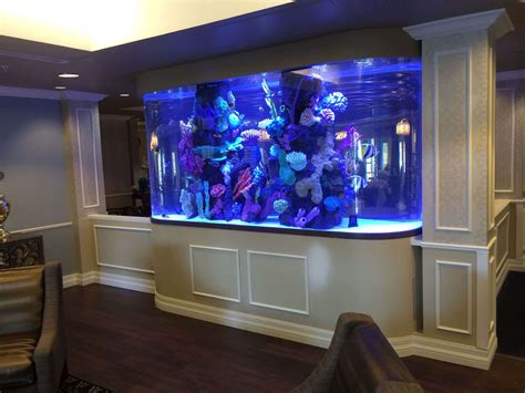 Best Ideas to Arrange an Aquarium or Fish Tank in Home - Live Enhanced