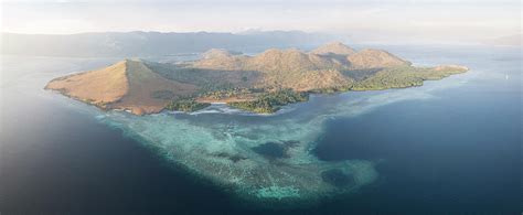 Aerial View Of A Beautiful Coral Reef Photograph by Ethan Daniels - Fine Art America