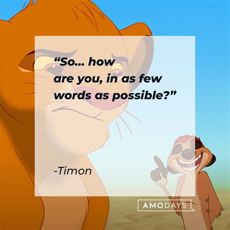 35 Timon Quotes on His Laidback Views Complete with Some Wisecracks