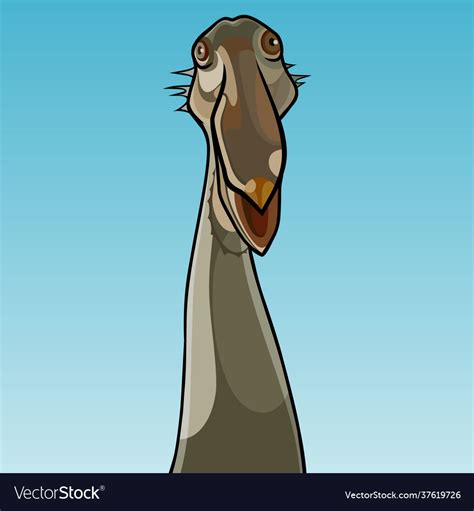 Portrait cartoon funny pelican looking Royalty Free Vector