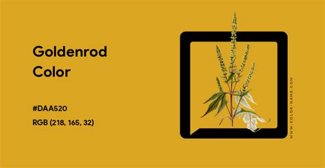 Goldenrod color hex code is #DAA520