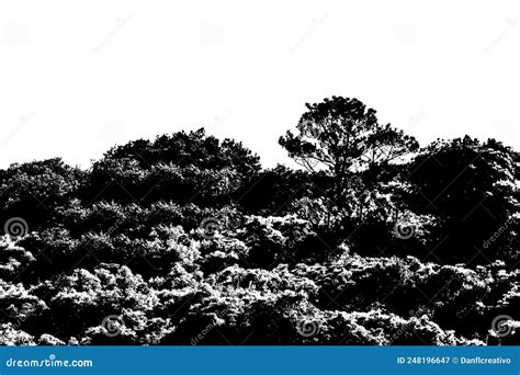 Black and White Forest Graphic Silhouette Stock Illustration - Illustration of stencil, black ...