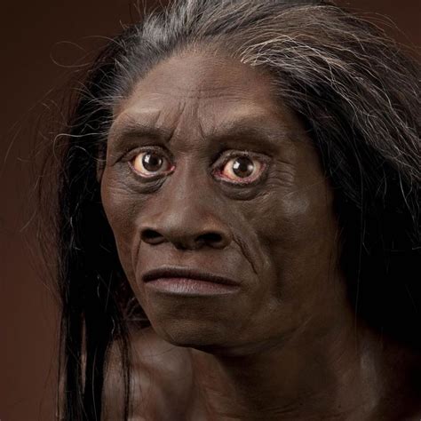 Why Did They Become Extinct? - The mystery of homo floresiensis