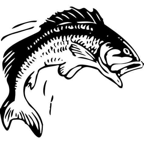 Jumping fish vector image | Free SVG