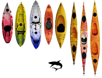 Types Of Kayak