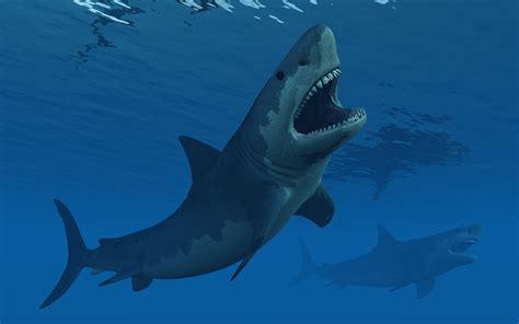 Megalodon | Hot Sex Picture