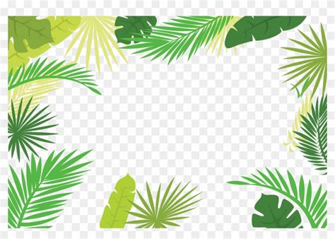 Leaf Text Illustration Arecaceae Palm Branch Border - Palm Leaves Border Png, Transparent Png ...