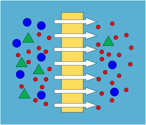 An introduction to membrane fouling - Brother Filtration