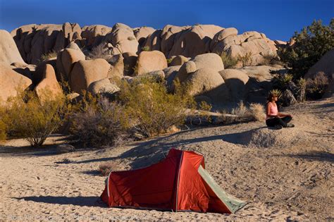 Camping, Joshua Tree National Park | Photos by Ron Niebrugge