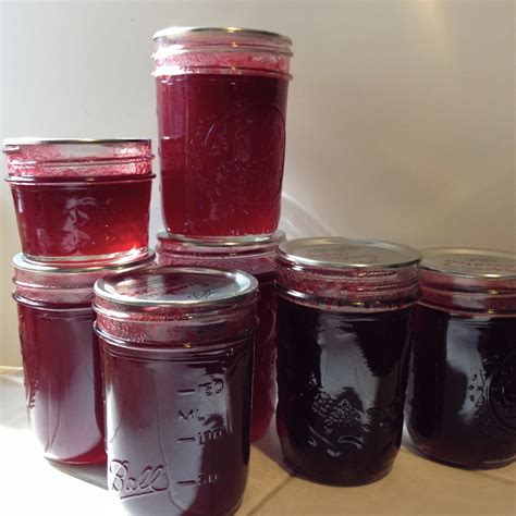 Seedless Raspberry Jam - Get the Good Stuff