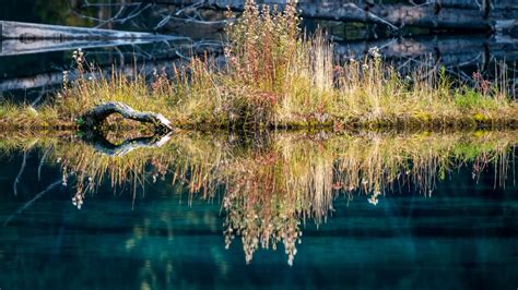 Camping in Oregon Coast without Reservations: First-Come First-Serve