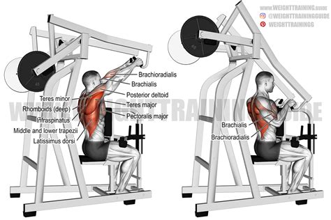 Machine high row exercise instructions and video | Weight Training Guide