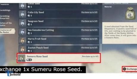 How to Collect Sumeru Rose Seeds in Genshin Impact - Paperblog