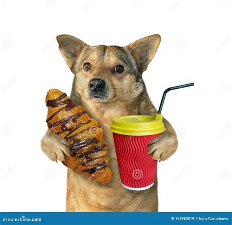 Dog With A Croissant And Coffee Stock Illustration - Illustration of funny, french: 145980819