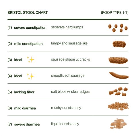 poop stool color changes color chart and meaning healthy concept stock ...