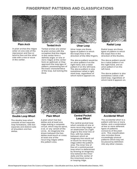 Kirsty's Blog!: Different Types Of Fingerprints.