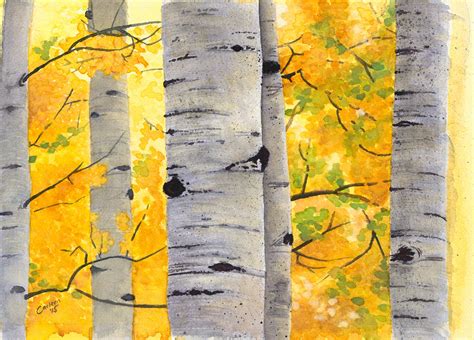 Aspen Trees, Original Watercolor Painting or Giclee Print of Watercolor ...