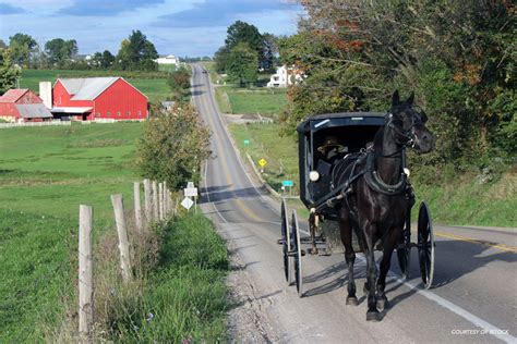 Ohio Amish Country | Travel | Ohio Magazine