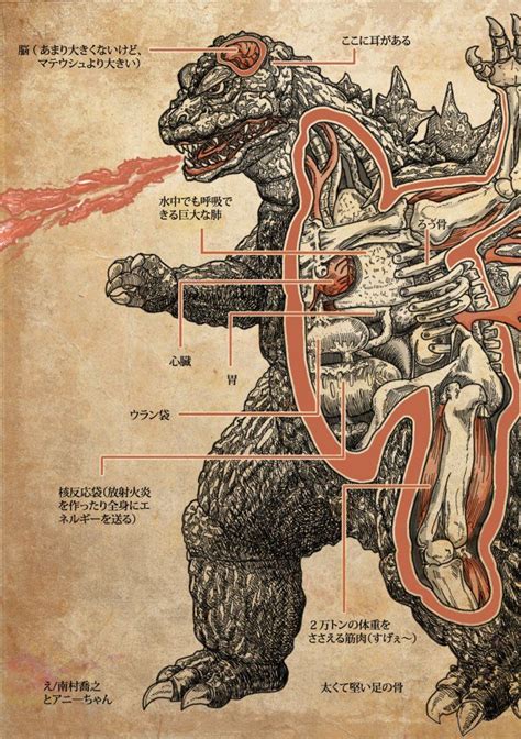 godzilla anatomy | Art, Weird art, Line artwork