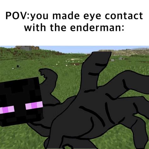 Enderman : r/MinecraftMemes