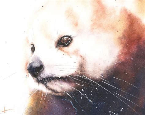 Red Panda Watercolor Art Print Bear Painting by Eric Sweet - Etsy