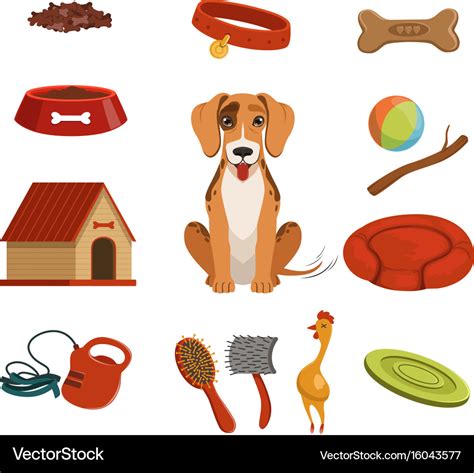 Different accessories for domestic pet dog Vector Image