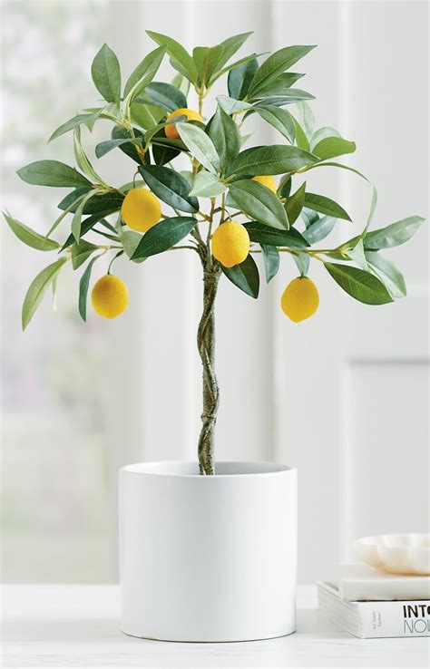 Fun Faux Lemon Tree Outdoor Flowers & Bushes