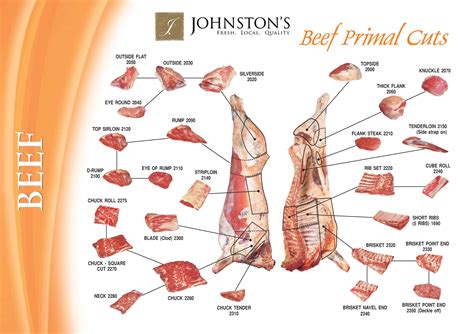 Printable Beef Cuts Of Meat Butcher Chart