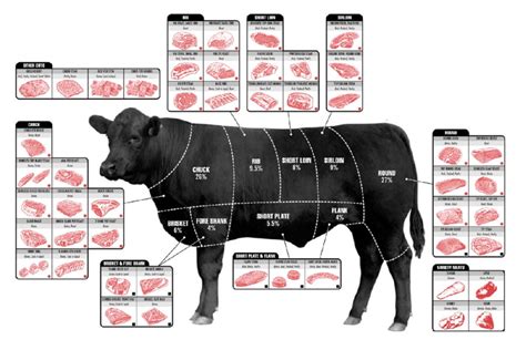 Beef Cuts Butcher Chart Cattle Diagram Poster Metal Print 12In x 16In 12x16 Square Adults Poster ...