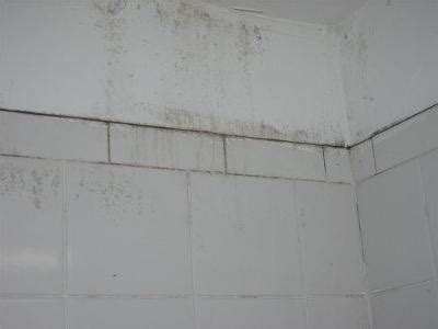 Cleaning And Removing Mold & Mildew In Bathroom