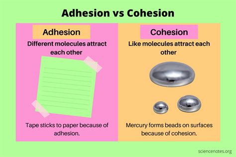 Cohesion Vs Adhesion