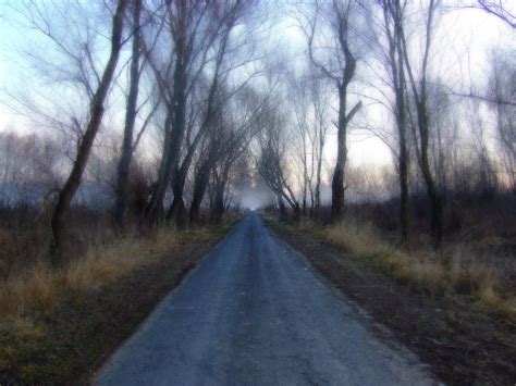 Abandoned road by mindenhova on DeviantArt