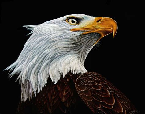 heather lara painting - 2 | Animal paintings, Scratchboard art, Scratchboard animals