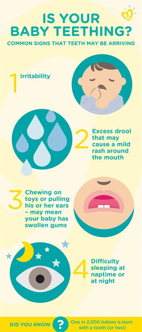 What are the Symptoms of Baby Teething? | Pampers