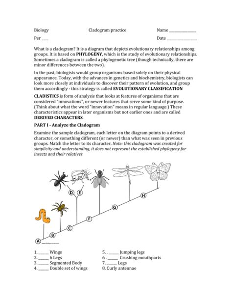 Biology Cladogram practice Name