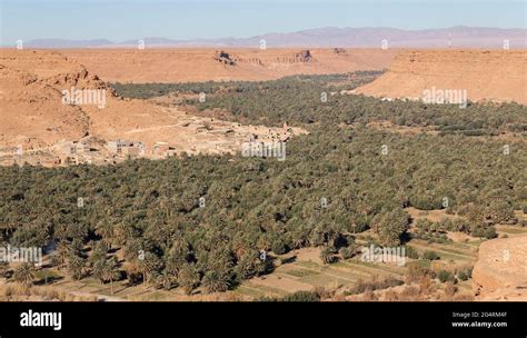 Oasis in the desert Stock Photo - Alamy