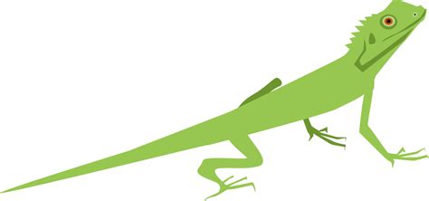 Reptile,Tail,Leaf PNG Clipart - Royalty Free SVG / PNG