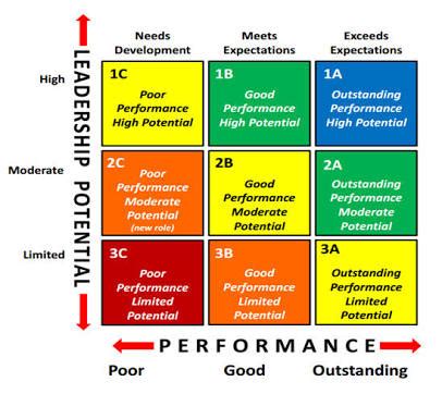 9-Box Grid Model Performance and Potential matrix - The Real Education