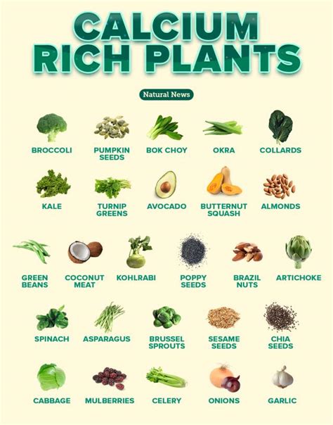 Calcium Rich Foods