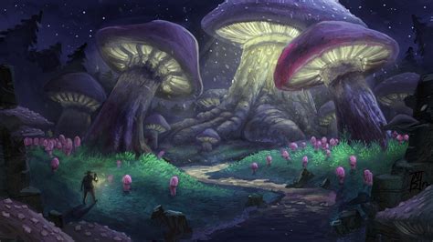 Mushroom Forest Wallpaper (64+ images)