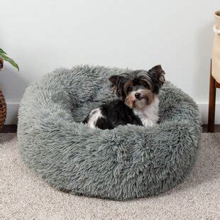 Wayfair | Medium Dog Beds You'll Love in 2022