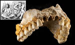 Neanderthal females fixed clothing while men made tools | Daily Mail Online