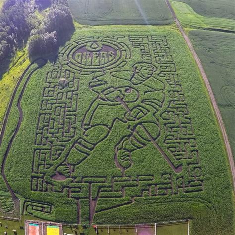 Maze | Edmonton's original corn maze