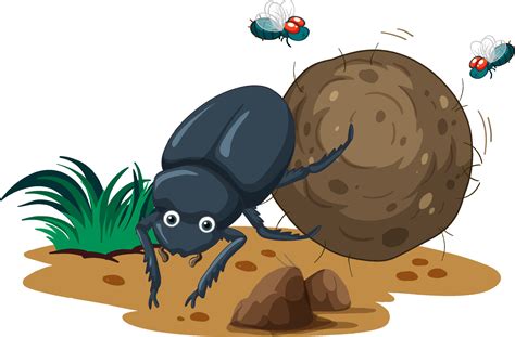 A dung beetle cartoon character 6892582 Vector Art at Vecteezy