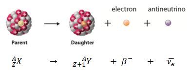 Conservation Laws in Beta Decay | nuclear-power.com