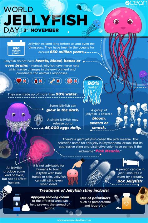 Types of Jellyfish [10 Different Jellyfish Species] | Ocean Scuba Dive